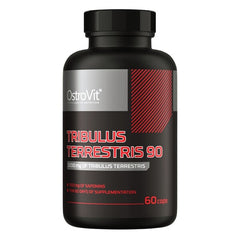 OstroVit Natural Testosterone Support — 60 servings (SKU: P52359)
